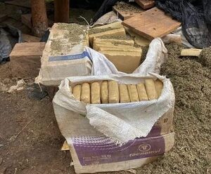 Senad destruye campamentos y toneladas de marihuana en Itapúa