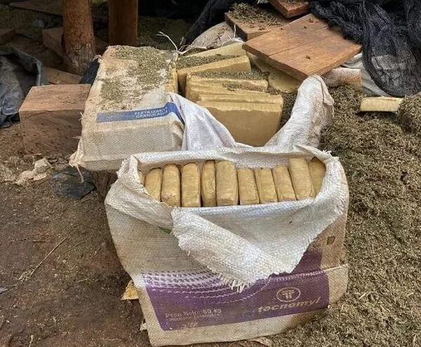 Senad destruye campamentos y toneladas de marihuana en Itapúa