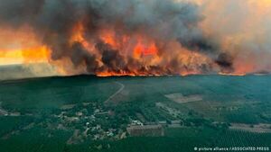 Incendios forestales arrasan en Francia miles de hectáreas