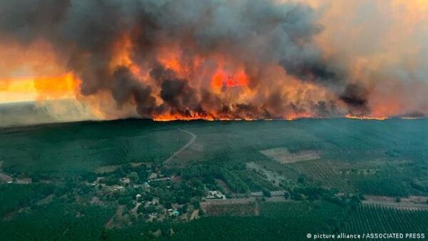 Incendios forestales arrasan en Francia miles de hectáreas