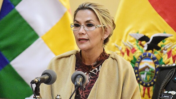 Senado aprueba declaración de solidaridad con la ex presidente de Bolivia Jeanine Añez