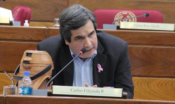 Suplente de Lugo en el Senado: "Ni piensen en eso", dice Filizzola - ADN Digital