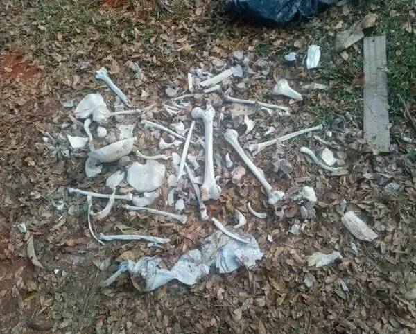 Crónica / [VIDEO] Encuentran huesos de un cristiano en un baldío de Villa Elisa