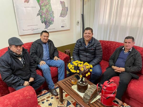 Diputado coordina con agrónomos sobre proyecto de plantación de tártago en Amambay