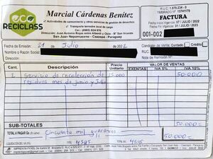 Intendente cartista adjudica recolección de basura a empresa creada hace un mes por su cuñado - Política - ABC Color