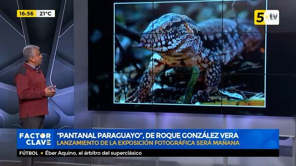 “Pantanal paraguayo”, de Roque González Vera - Factor Clave - ABC Color