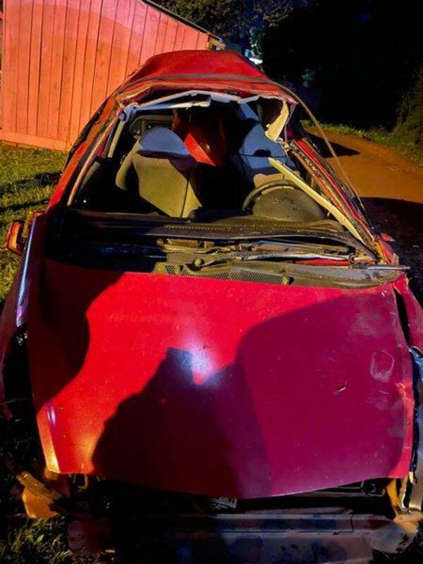 Crónica / Se le cruzó un firulais, hizo puré su auto y el guagüi se fue como si nada