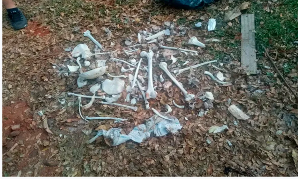 Hallan restos óseos en Villa Elisa