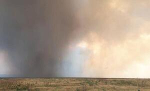 En julio, Alto Paraguay y Boquerón registraron la mayor cantidad de focos de incendios - San Lorenzo Hoy