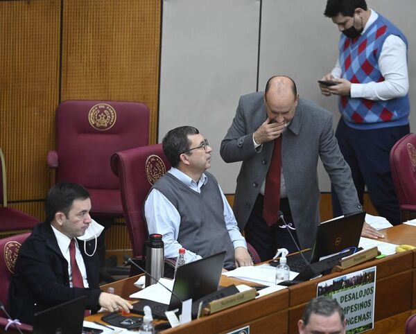 En Senado aprueban préstamos internacionales para pagar salarios y vacunas - Política - ABC Color