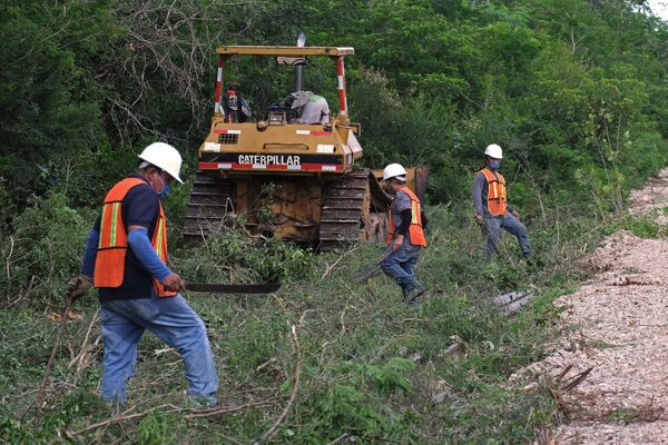 ONG reclaman a Gobierno mexicano desprotección ambiental en Tren Maya - MarketData