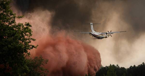 La Nación / Francia, en estado de emergencia por los incendios forestales