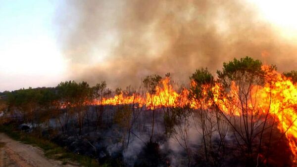 Lanzan operativo para prevenir los incendios en la Reserva San Rafael