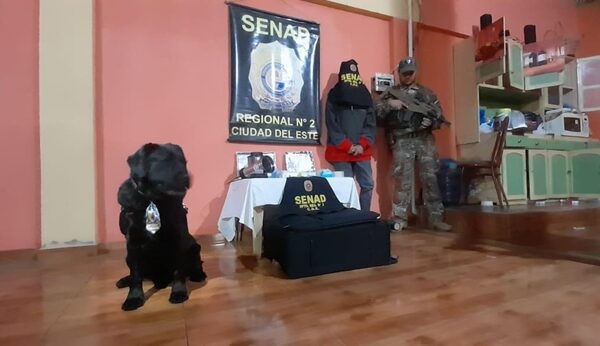 Capturan a distribuidor de cocaína mediante agente “Rocky”