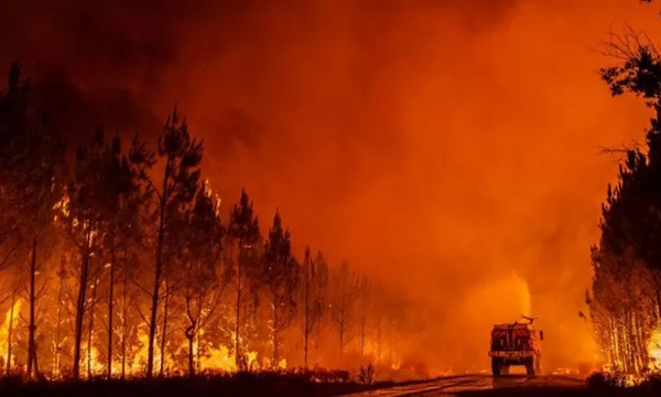 El "monstruoso" incendio forestal que está asolando el suroeste de Francia - OviedoPress