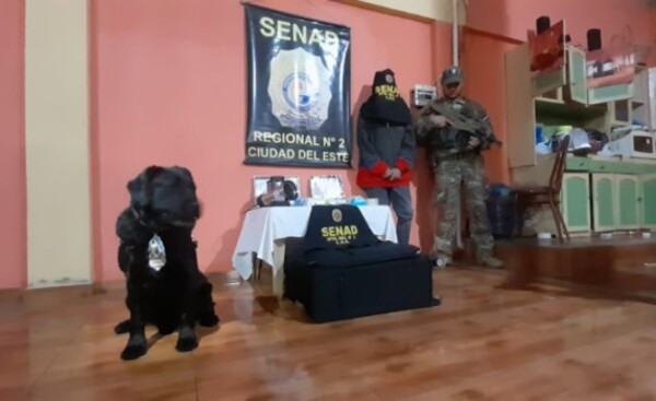 Perro detector de drogas ayudó a capturar a supuesto distribuidor