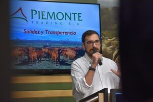 Mañana sábado, Piemonte Trading remata 700 vacunos de invernada