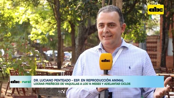 Lograr preñeces de vaquillas a los 14 meses y adelantar ciclos - ABC Rural - ABC Color