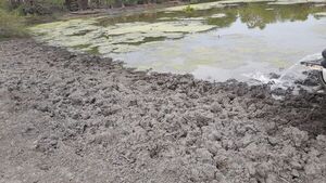 No llegan las grandes lluvias y se agudiza  sequía en el Chaco - Noticias del Chaco - ABC Color