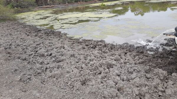 No llegan las grandes lluvias y se agudiza sequía en el Chaco - Noticias del Chaco - ABC Color