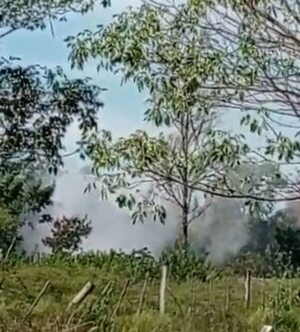 Denuncia por constantes quemas en zona de Loma Pytã  - Crónicas Ciudadanas - ABC Color