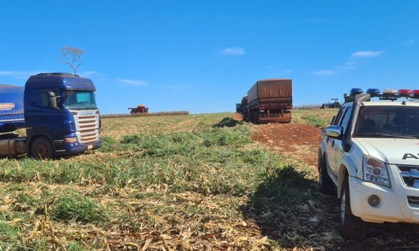 Denuncian caso de abigeato y hurto en estancia