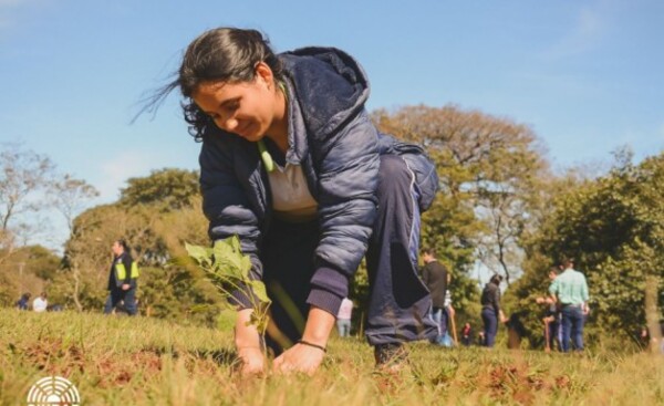 Alumnos de colegios de CDE ayudan en tareas de arborización