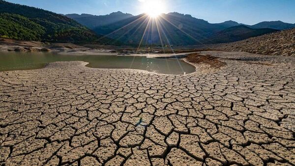 Ante ola de calor extremo, ocho zonas de Inglaterra fueron declaradas en situación sequía - Megacadena — Últimas Noticias de Paraguay