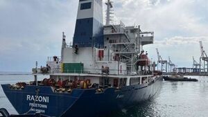 Zarparon otros dos buques con cereales de los puertos de Ucrania - ADN Digital
