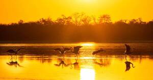 La Nación / Paisajes de Paraguay a través de los ojos de una fotógrafa