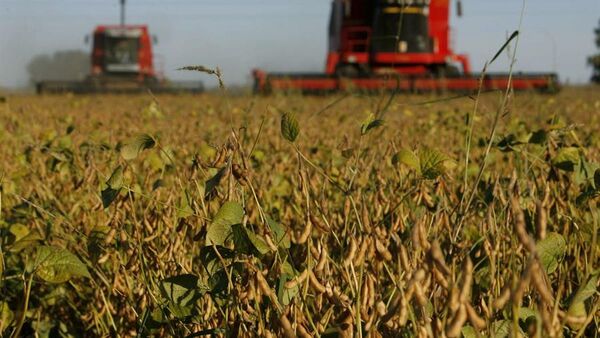 Dejaron de ingresar más de USD 1.000 millones por soja