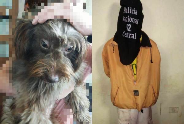 Aprehenden a un joven por maltrato animal •