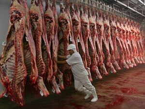 Mercosur registró voluminosas exportaciones de carne vacuna a China en julio