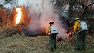 Alto Paraguay y Boquerón con mayor cantidad de focos de calor en el mes de Julio - El Independiente