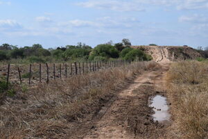 Próxima semana con posibles lluvias generalizadas en el campo paraguayo