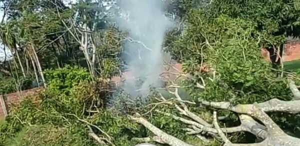 Tumbó un árbol, dejó varias ciudades sin luz y casi incendia todo