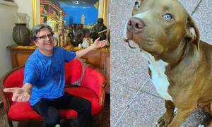 Crónica / Mili Brítez: "Y después dicen que los pitbulls son asesinos... ¡son adorables!"