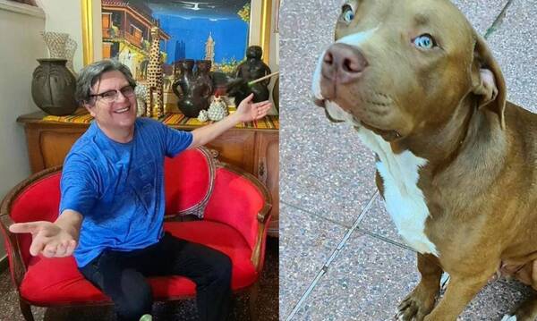 Crónica / Mili Brítez: "Y después dicen que los pitbulls son asesinos... ¡son adorables!"
