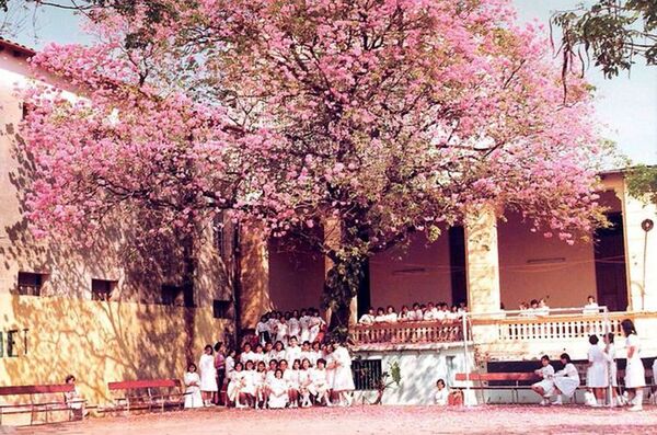 Quién gobernó realmente Paraguay: una historia del Colegio Nacional de Niñas de 1976 - Cultural - ABC Color