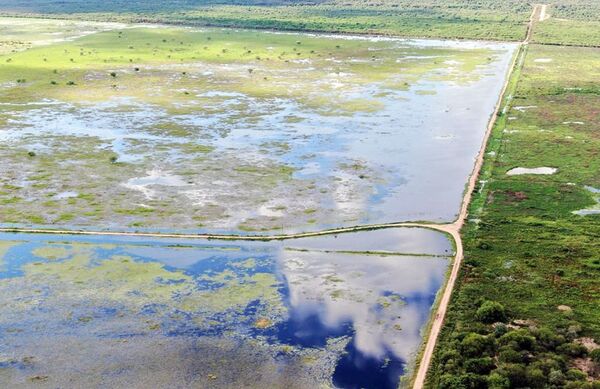 Mades hace oídos sordos a reclamos para derribar represas del Pilcomayo - Nacionales - ABC Color