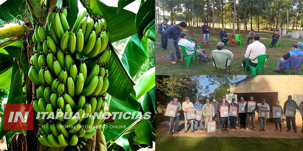 ITAPÚA PODRÍA SER PRODUCTOR BANANERO CON SERIEDAD Y COMPROMISO
