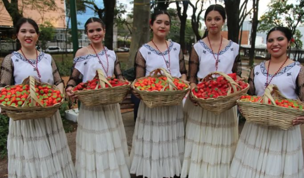 Diario HOY | Primera edición de la Feria de la Frutilla en la Plaza Infante Rivarola