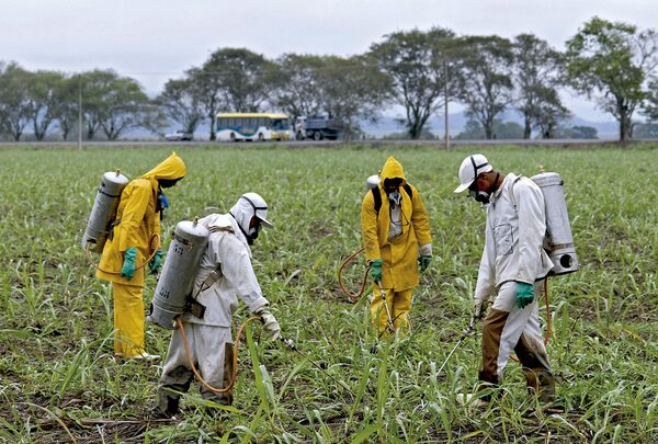 Diario HOY | Entran de contrabando tóxicos presuntamente prohibidos por alta carga de peligrosidad