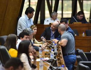 Interpelación a titular de IPS y reducción de tarifa de ANDE tratarán el martes en Diputados - Nacionales - ABC Color