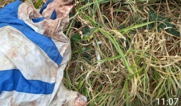 Identifican cadáver hallado en cercanías del Parque Nacional Cerro Corá - Radio Imperio