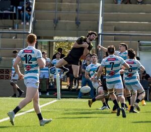 Rugby: San José frena a Curda - Polideportivo - ABC Color
