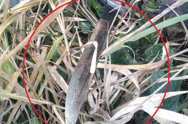 Hallan cadáver de presunto abigeo en Amambay - Noticiero Paraguay