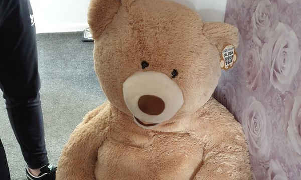 Un joven robó un auto y se escondió adentro de un oso de peluche para que la policía no lo encuentre - OviedoPress