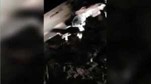 Investigan procedencia de avión que cayó en Boquerón ya que ocupantes quisieron quemarlo