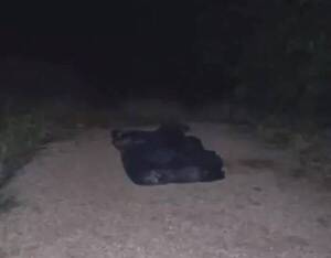 Crónica / Con una mochila llena de piedras en la espalda encuentran el cuerpo sin vida de un joven